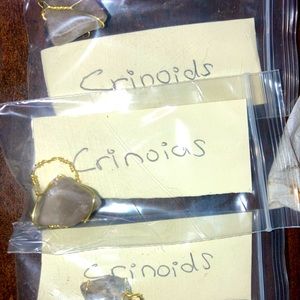 Wire wrapped rock pendants